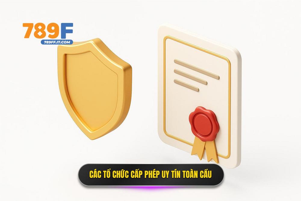 3.các Tổ Chức Uy Tín Và Thẩm Quyền Cấp Phép Toàn Cầu